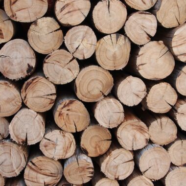 Bois de chauffage